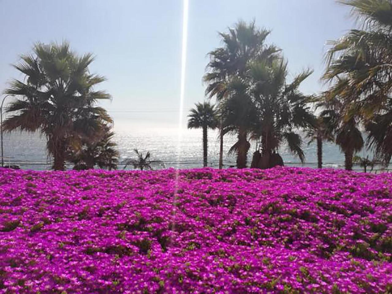 Playa Paraiso Resort Конкон Экстерьер фото